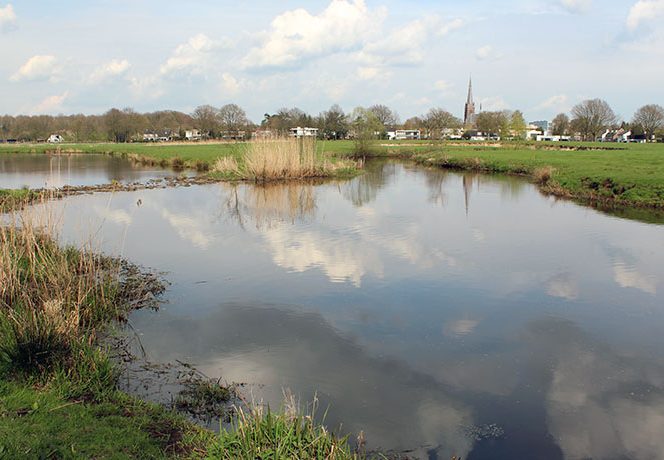 Markdal Ulvenhout oprichting de Smaakspecialist