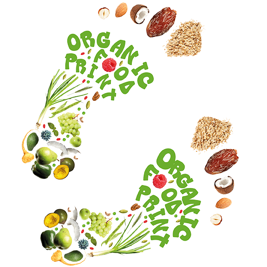 Grafische tekening van organic food prints