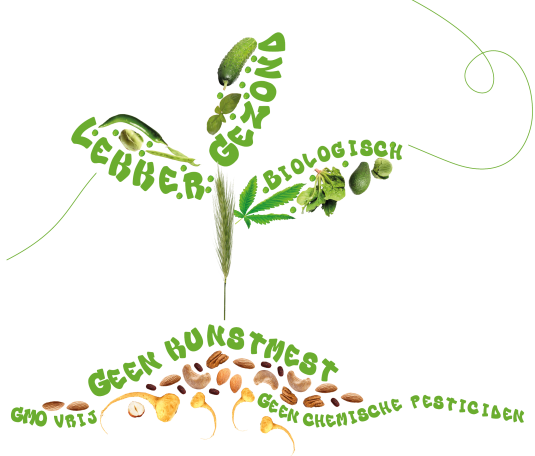 Grafische tekening van een biologische plant